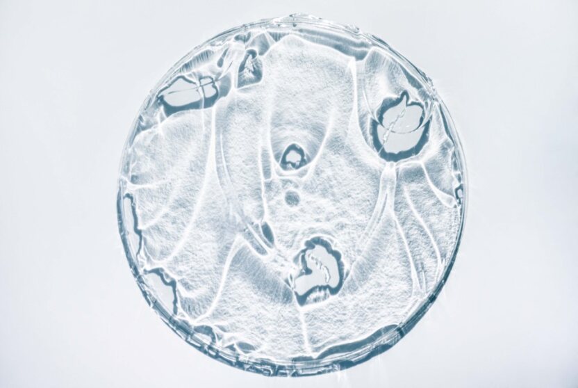 peptiodos1
